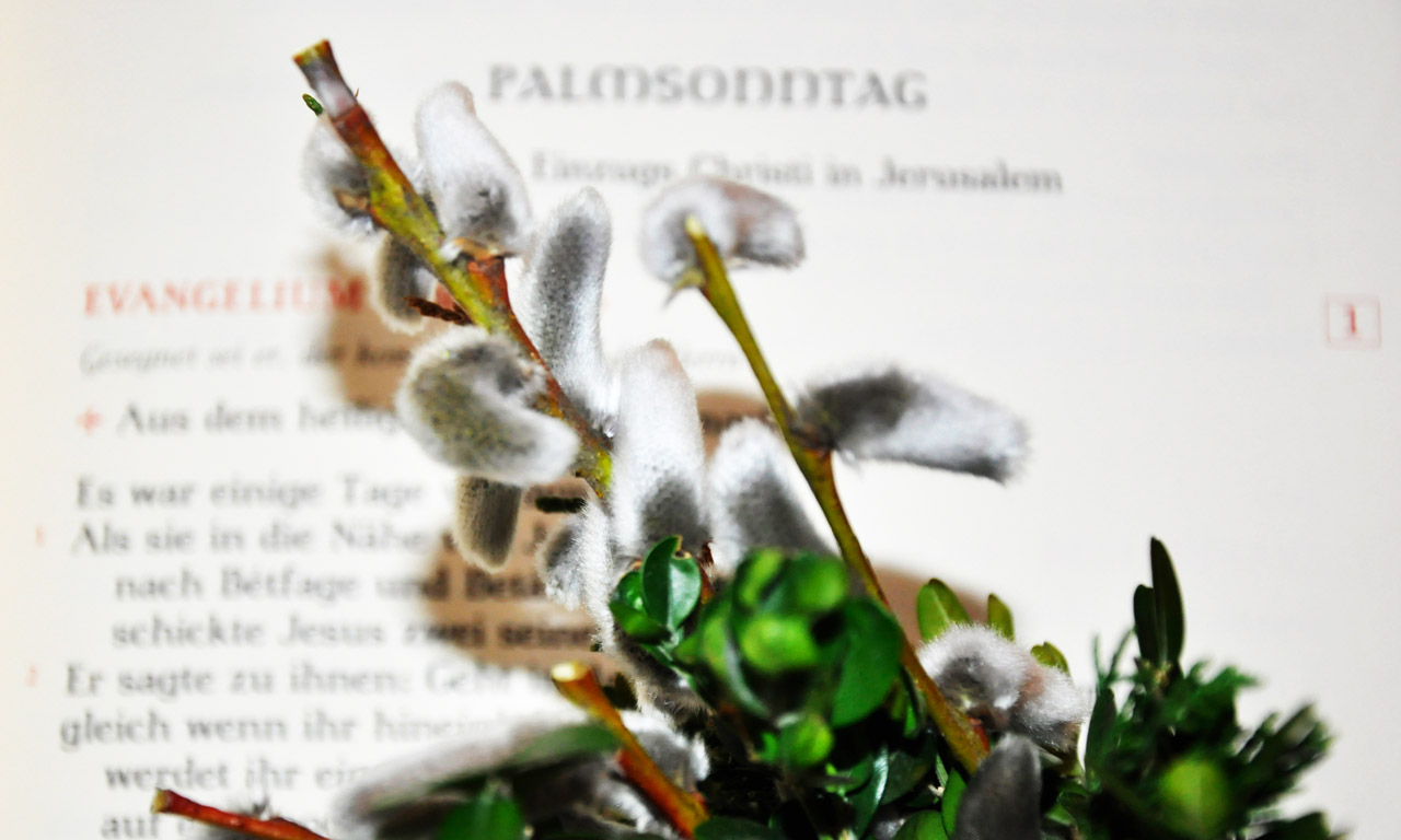 Palmsonntag by christine limmer pfarrbriefservice k